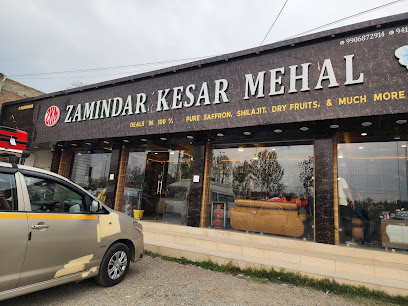ZAMINDAR KESAE MEHAL