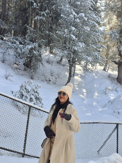 poise travel & tourism