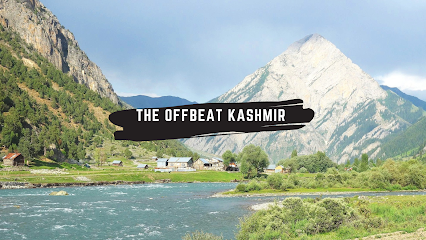 Acme tour and travels