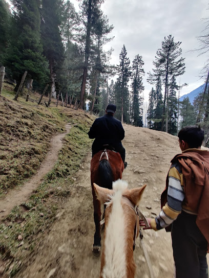 Afzaan tour and travels Srinagar