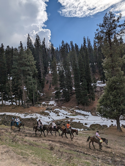 Jay Jay Tours And Travels