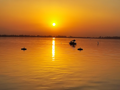 Greystar tour and travels